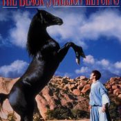 The Black Stallion Returns