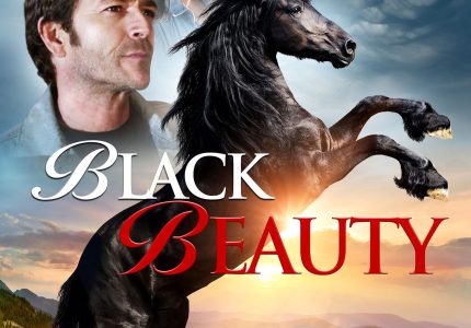 Black Beauty (2015)