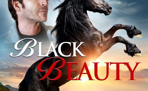 Black Beauty (2015)