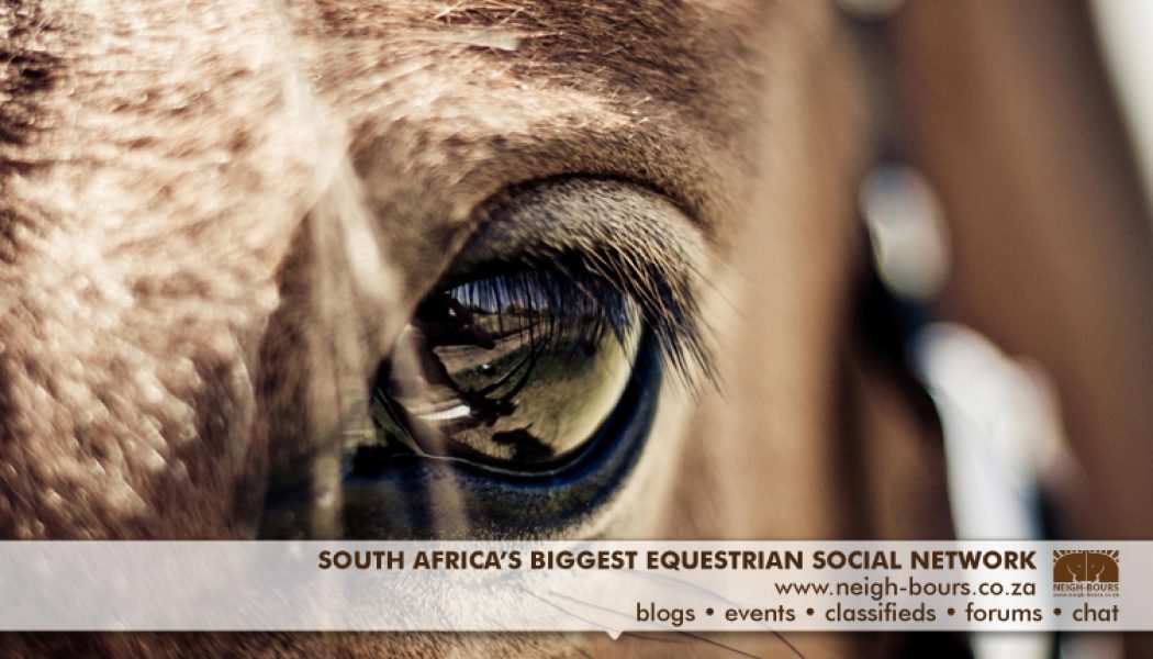 New Year New Neigh-Bours