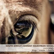 New Year New Neigh-Bours