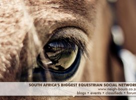 New Year New Neigh-Bours