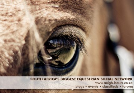 New Year New Neigh-Bours