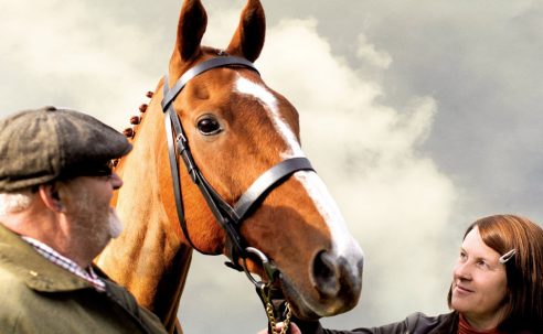 Dark Horse – The Incredible True Story of Dream Alliance (2015)