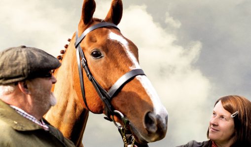 Dark Horse – The Incredible True Story of Dream Alliance (2015)