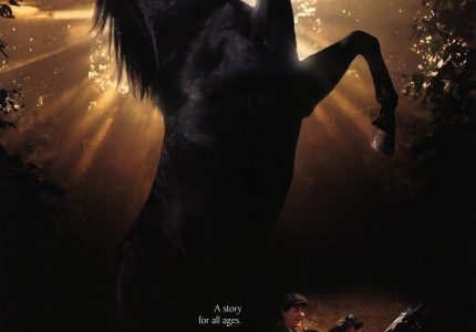 Black Beauty (1994)