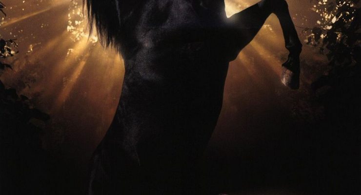 Black Beauty (1994)