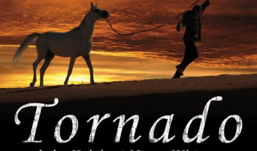 Tornado and the Kalahari Horse Whisperer (2009)