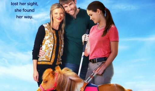 Apple of my Eye (2017)