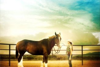 A Horse Story (2016)