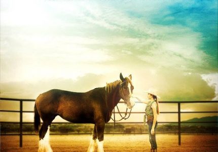 A Horse Story (2016)