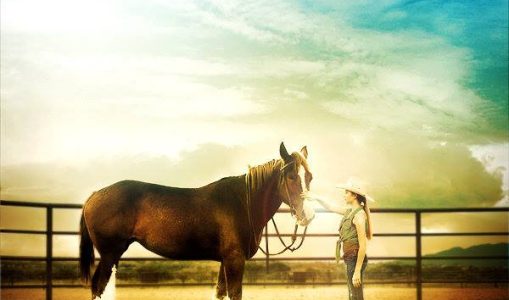 A Horse Story (2016)