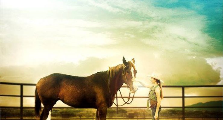 A Horse Story (2016)
