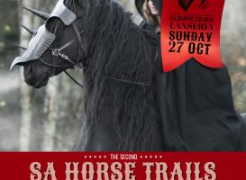 Theme for 2nd SA Trails Treasure Hunt Announced!