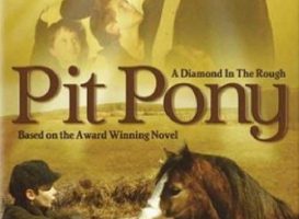 Pit Pony