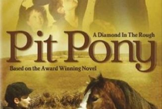 Pit Pony