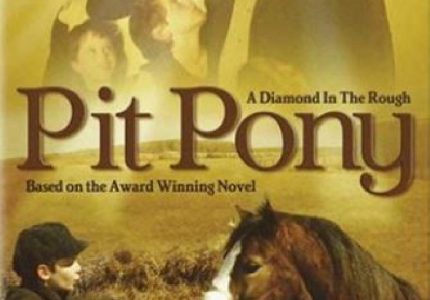 Pit Pony