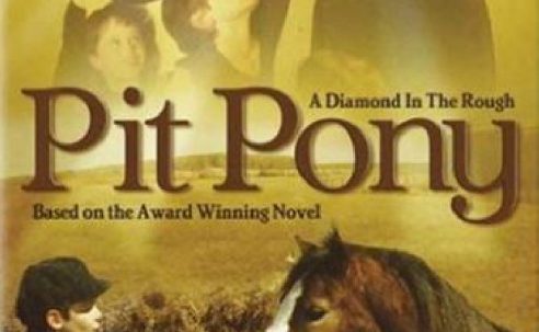 Pit Pony
