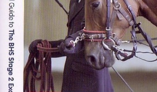 The New Visual Guide to the BHS: Stage 2 Examination