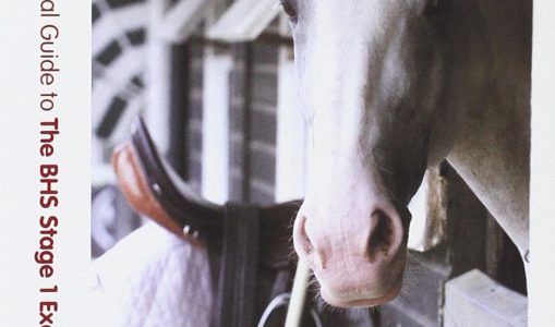 The New Visual Guide to the BHS: Stage 1 Examination