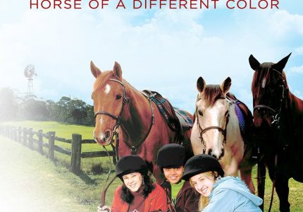 Saddle Club Horse of a Different Color