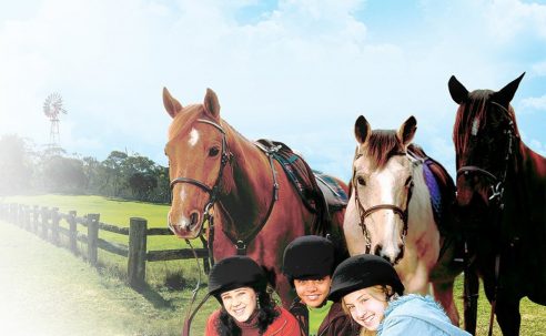 Saddle Club Horse of a Different Color