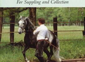 Schooling Horses In-hand - For Supplying And Collection