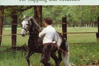 Schooling Horses In-hand - For Supplying And Collection