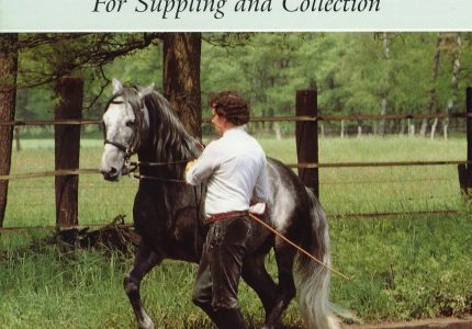 Schooling Horses In-hand - For Supplying And Collection