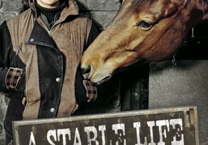 A Stable Life – The complete series 1&2