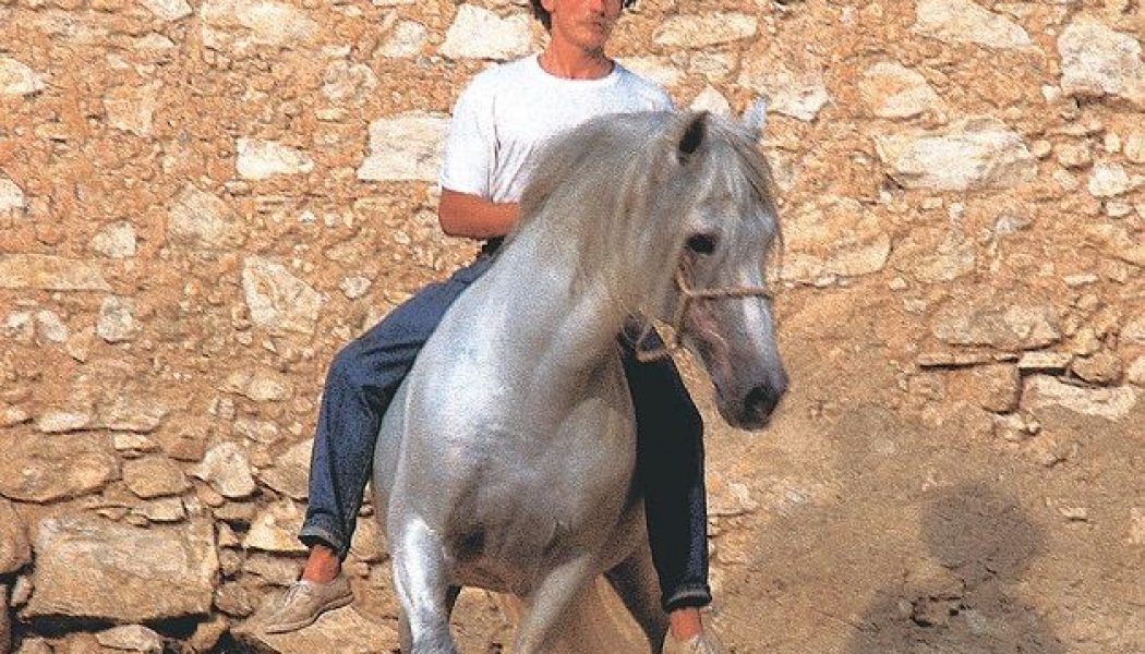 Dancing with Horses
