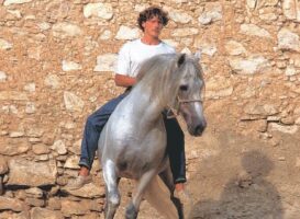 Dancing with Horses