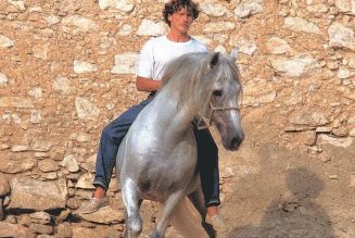 Dancing with Horses