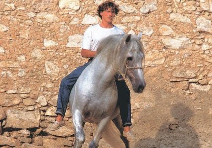 Dancing with Horses
