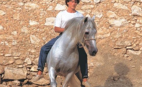 Dancing with Horses