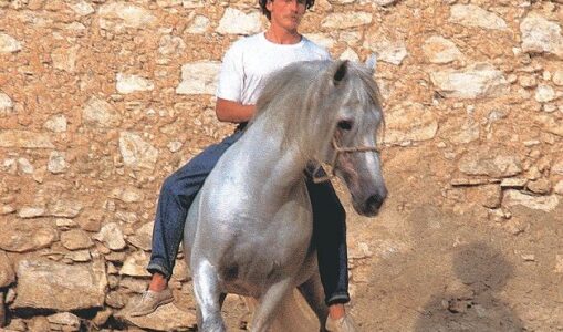 Dancing with Horses