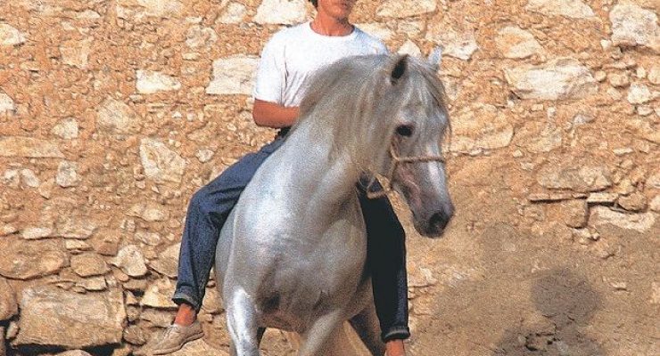 Dancing with Horses