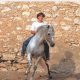 Dancing with Horses