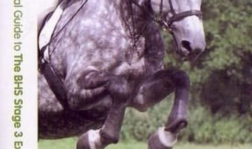 The New Visual Guide to the BHS: Stage 3 Examination