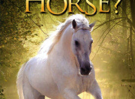 Where Is Winky's Horse?