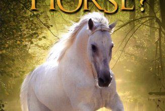 Where Is Winky's Horse?