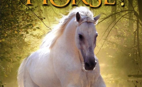 Where Is Winky's Horse?