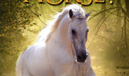 Where Is Winky's Horse?