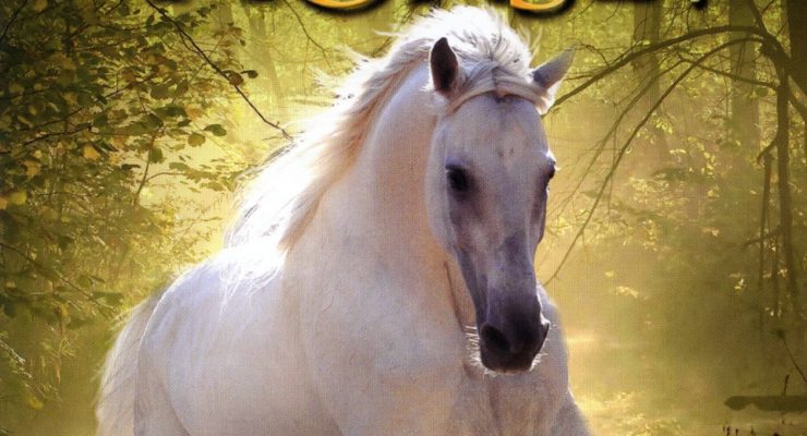 Where Is Winky's Horse?