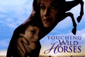 Touching Wild Horses