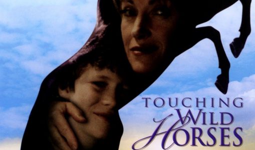 Touching Wild Horses