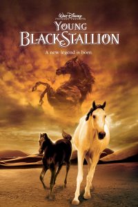The Young Black Stallion (2003)