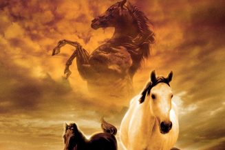 The Young Black Stallion