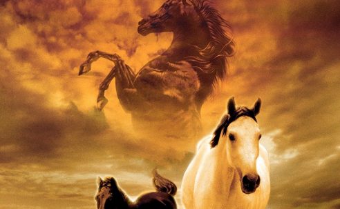 The Young Black Stallion