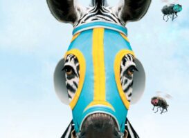 Racing Stripes